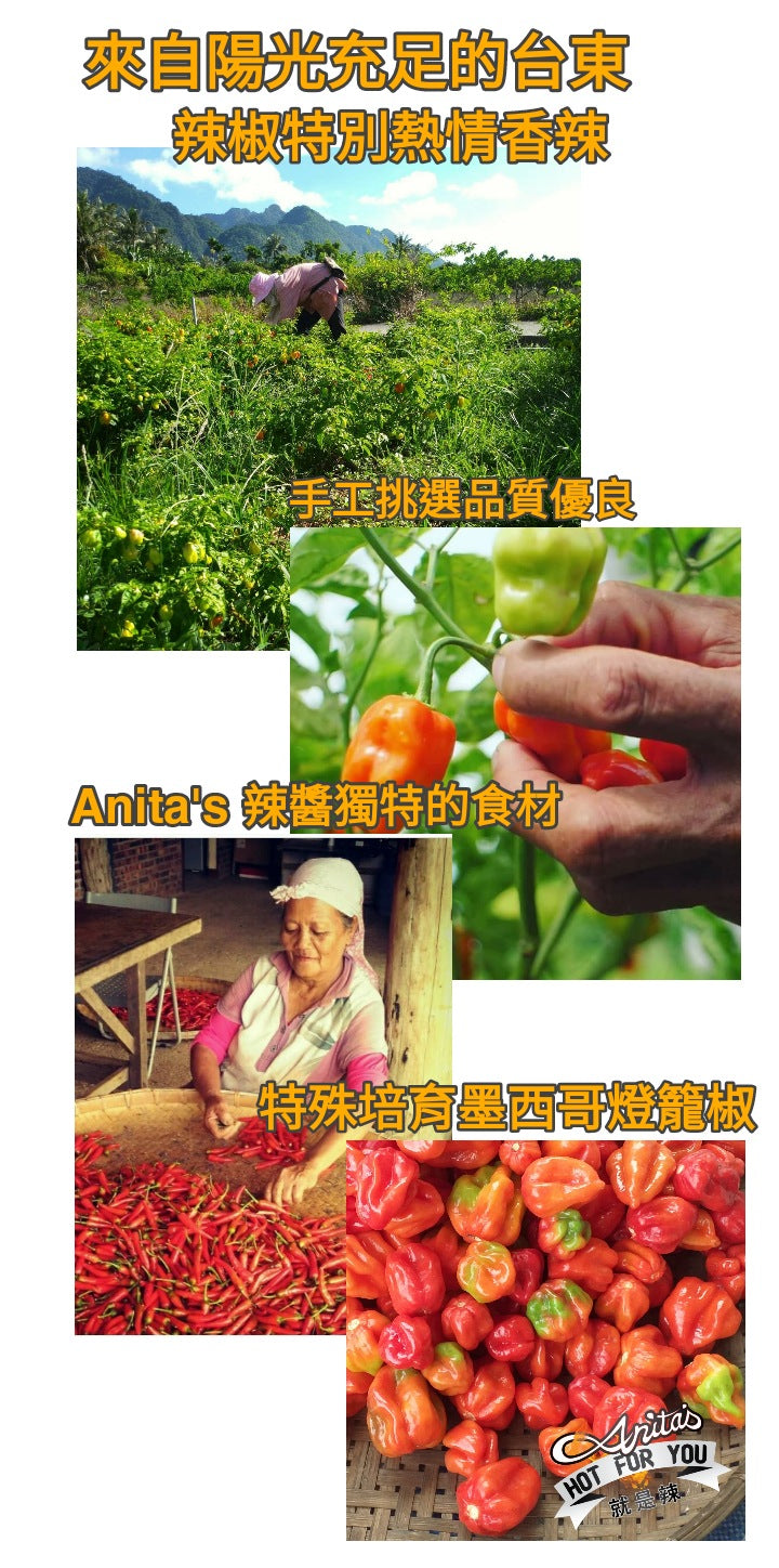 Anita 瘋魔辣醬 大辣